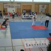 lausannepen_2011 13